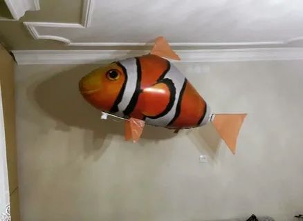 Uchar baliq NEMO pulutda boshqarilad