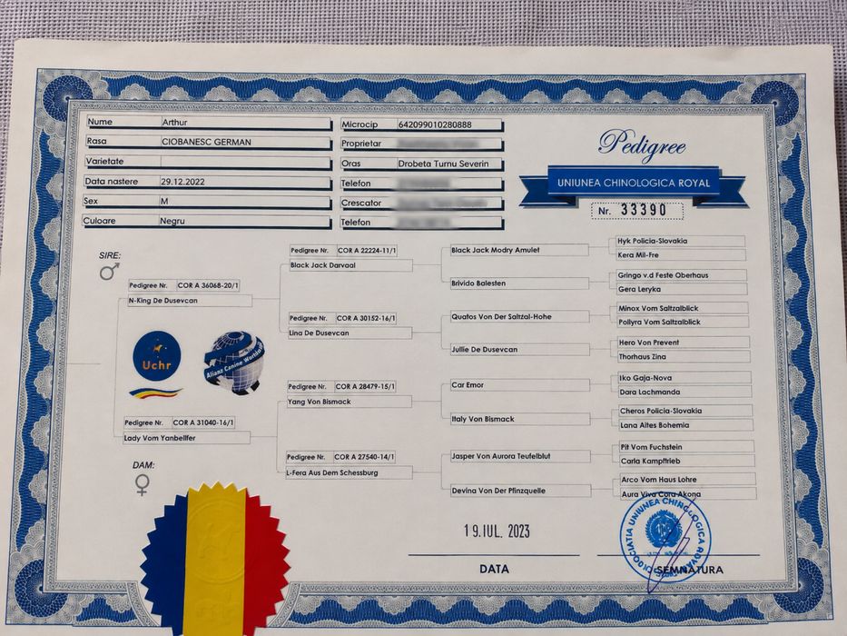Ciobanesc German