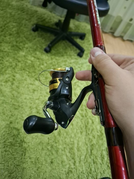 Болонеза 5м Osako