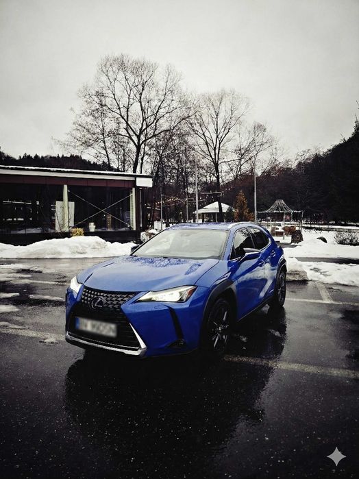 Lexus UX 250h Hybrid, Istoric reprezentanța, Proprietar