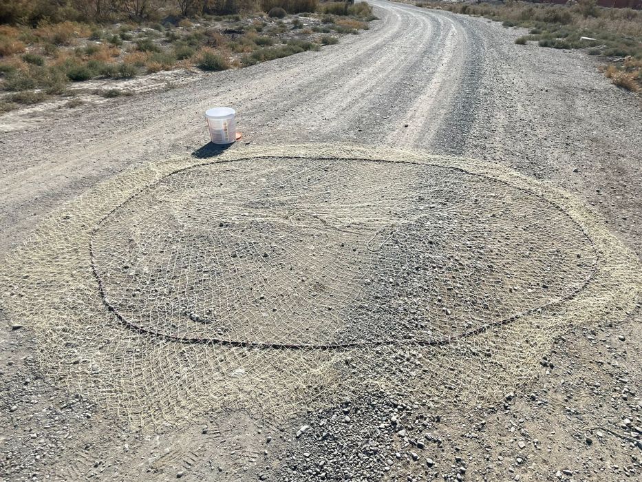 Рыболовная снасть