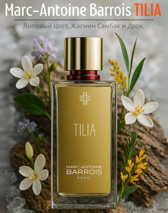 Tilia Marc-Antoine Barrois