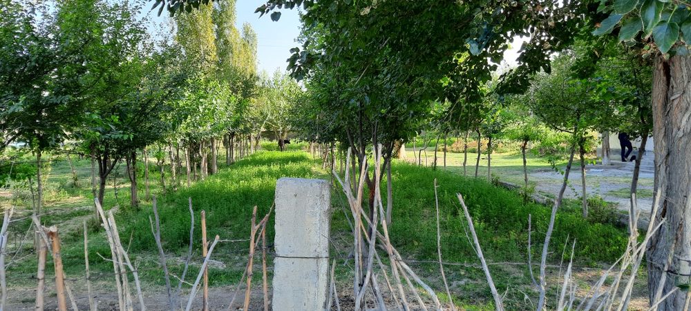 Hovosobod 24sotix yer sotiladi tayyor binosi bilan