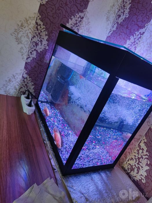 Akvarium 50Litr komplekt