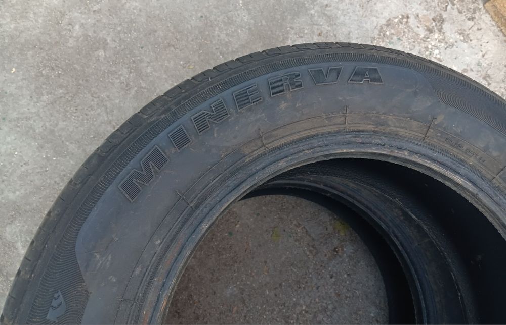 Minerva Radial 195/55/15