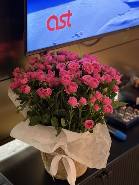 Розы спреи в кашпо