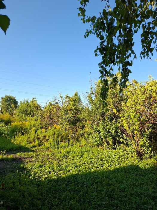Продам дачу с недостроенным домом Согра