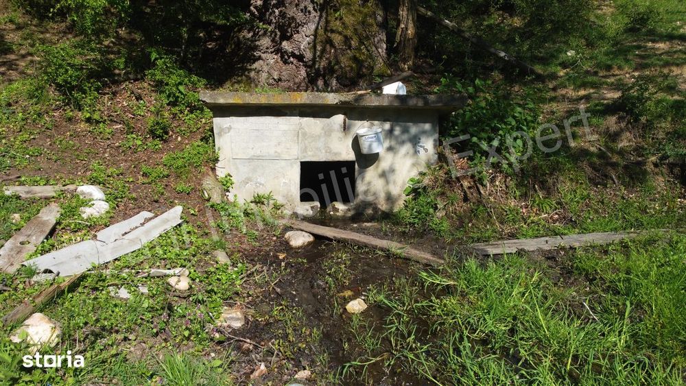 Teren cu stană de vânzare în apropiere de Curtea de Argeș.