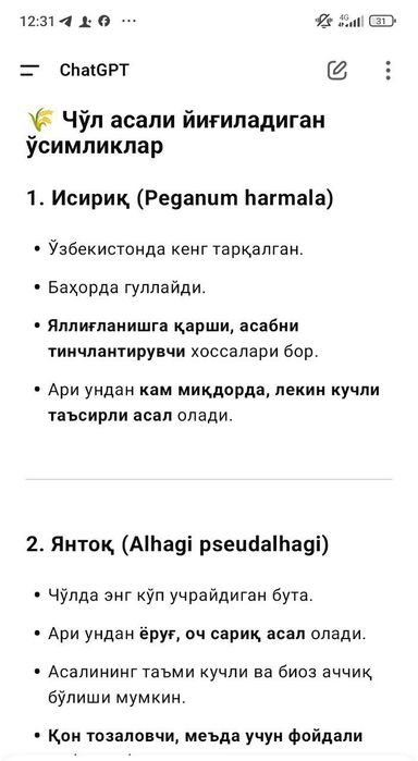 Asal choʻl asali (Мед пустынный)