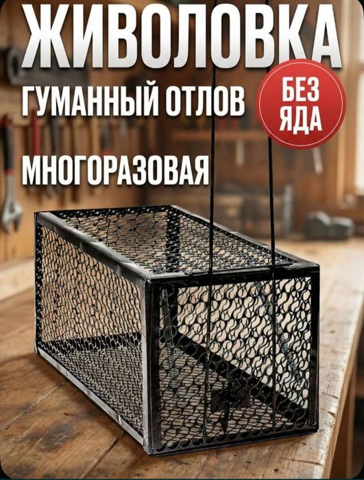 Kalamush qopqon Мышеволька