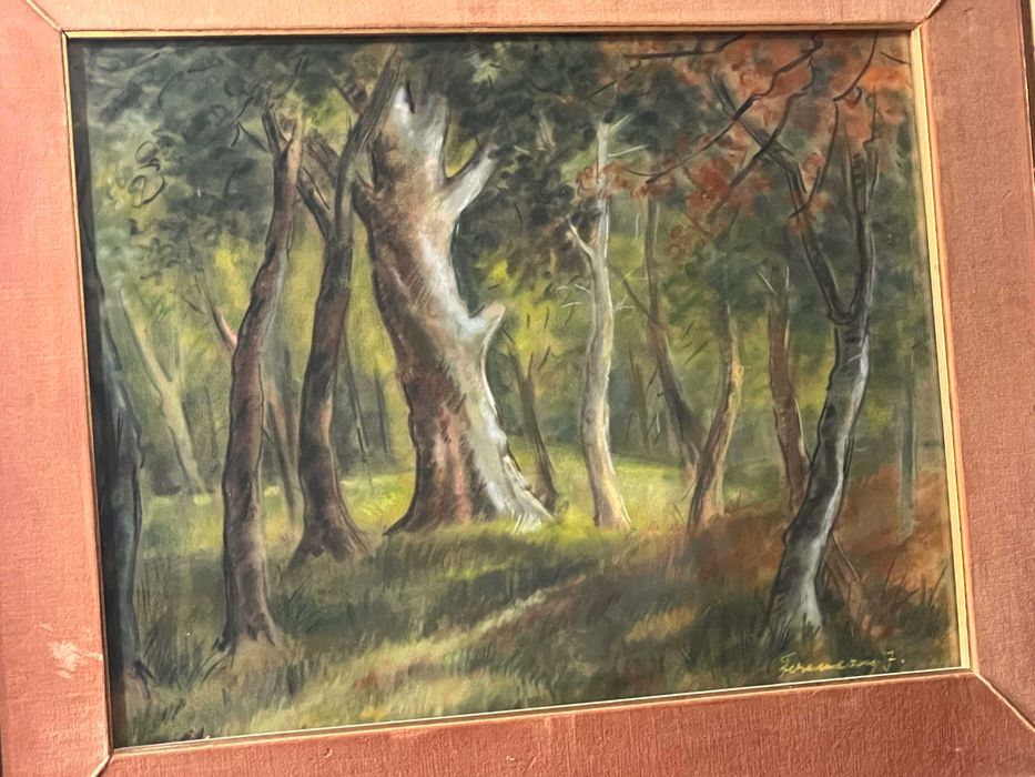 Pictură cu ramă, semnată de Ferenczi Júlia