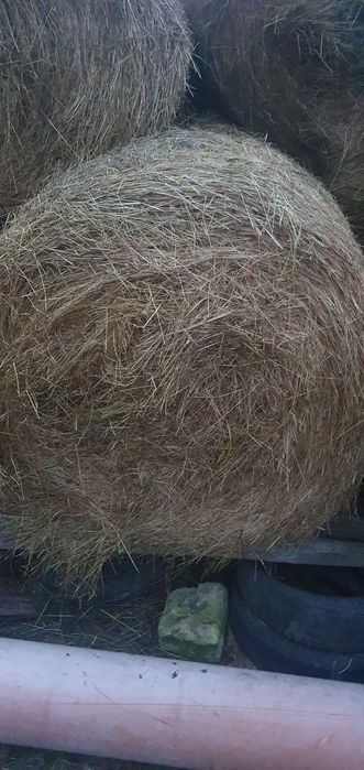 Baloți fân rotunzi