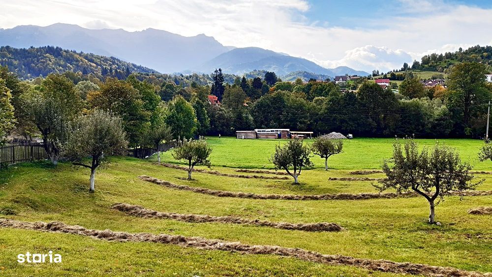 Teren superb de 16240mp in Bran la intrare in Moeciu de Jos