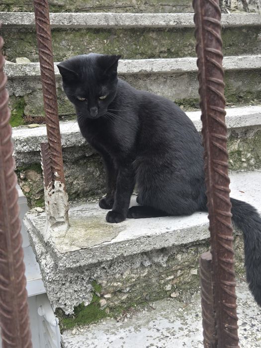 Интериор, стенопис, дизайн