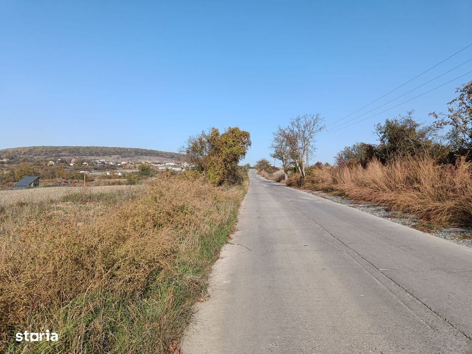 Teren extravilan 5,671mp Cluj-Napoca / Strada Lombului