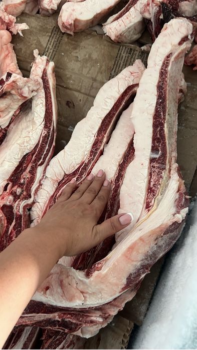 Продам мясо конины