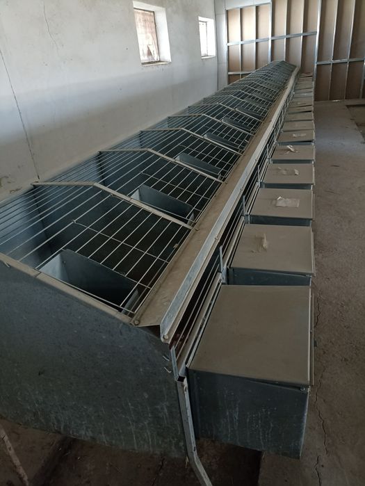 Куëнлар учун таййор 20 та тугиш учун клеткалар сотилади