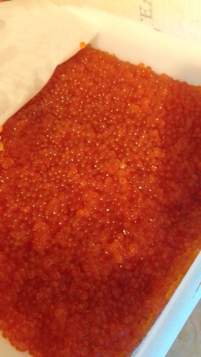 Икра выгодные цены