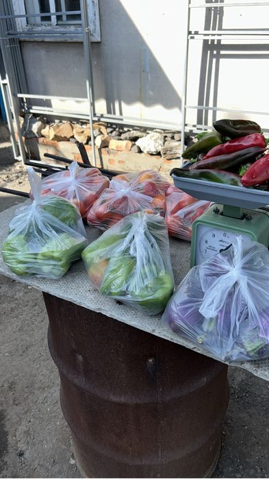 Продам помидоры   Перец сладкий.  Баклажаны