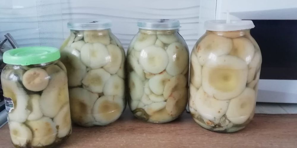 Продам грибы Грузди