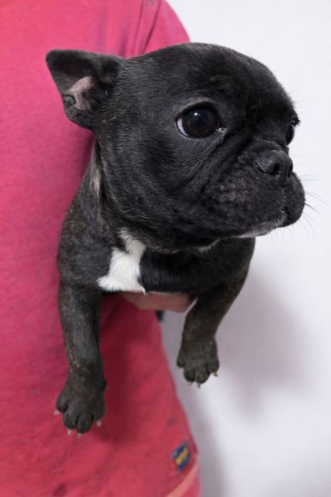 Cadoul perfect Valentine's Day