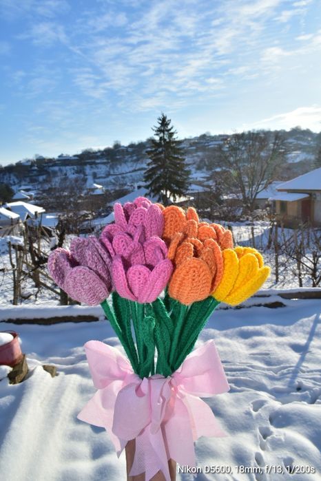 Ръчно платени лалета