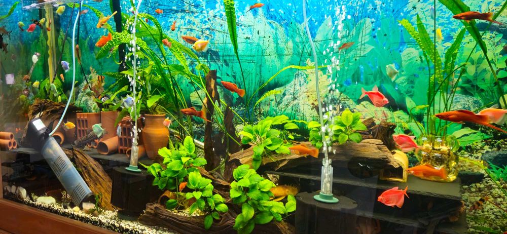 Аквариум 612л + филтри