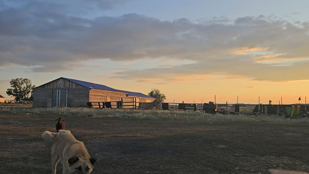 Продаётся Фазенда КХ