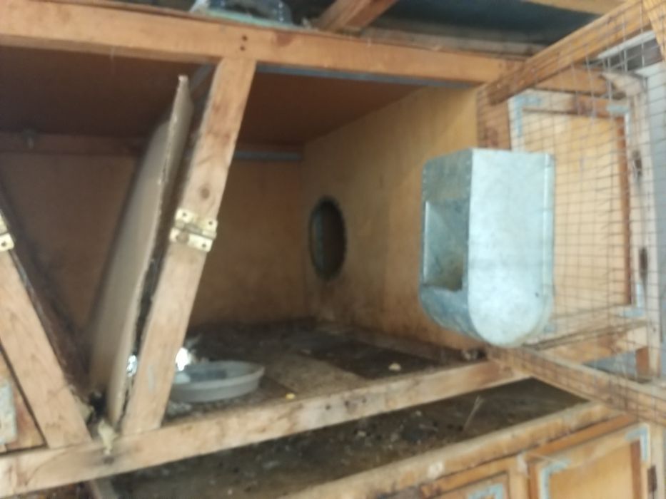 Quyonlar uchun qafas