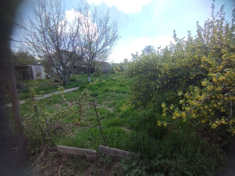 Продам дачу в Шолдала