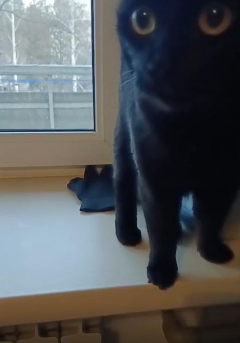 Отдам в хорошие руки!