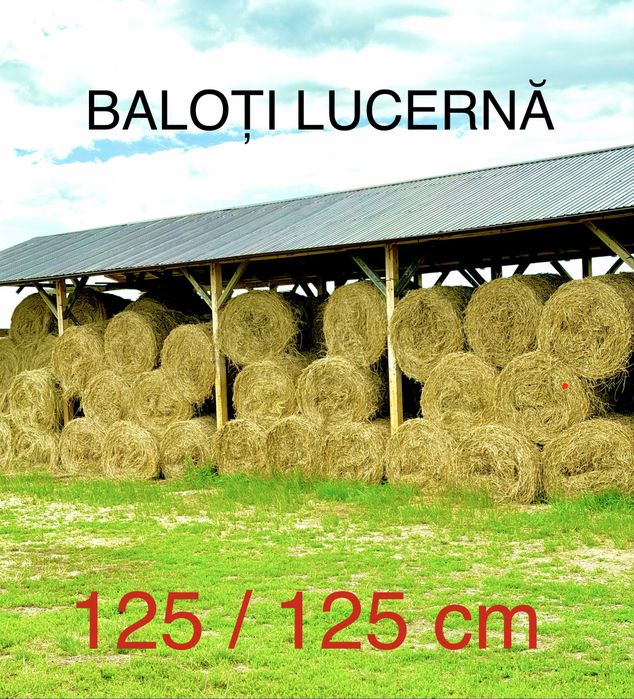 Baloți lucernă / fân 2026