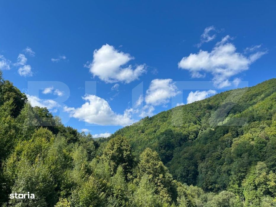 Cabana 5 camere, teren de 1000 mp, Valea Ierii