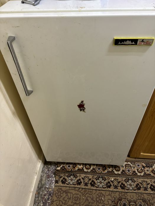 Frigider arctic-cu congelator