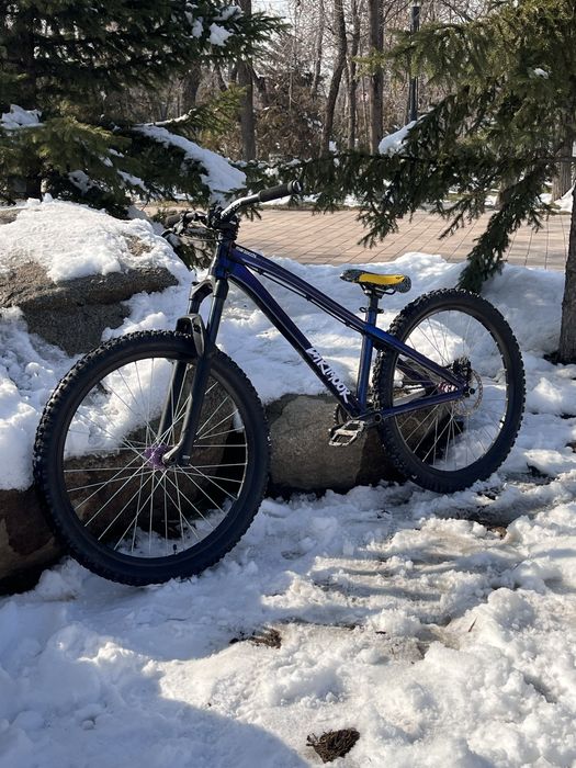 Dartmoor 26 player pro