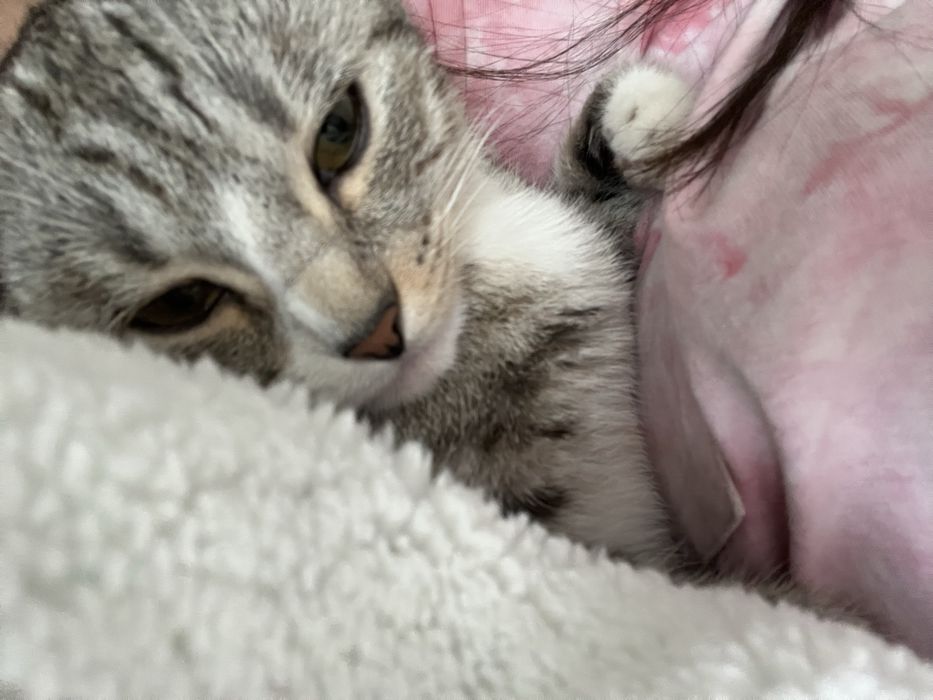 Вязкаға жігіт керек