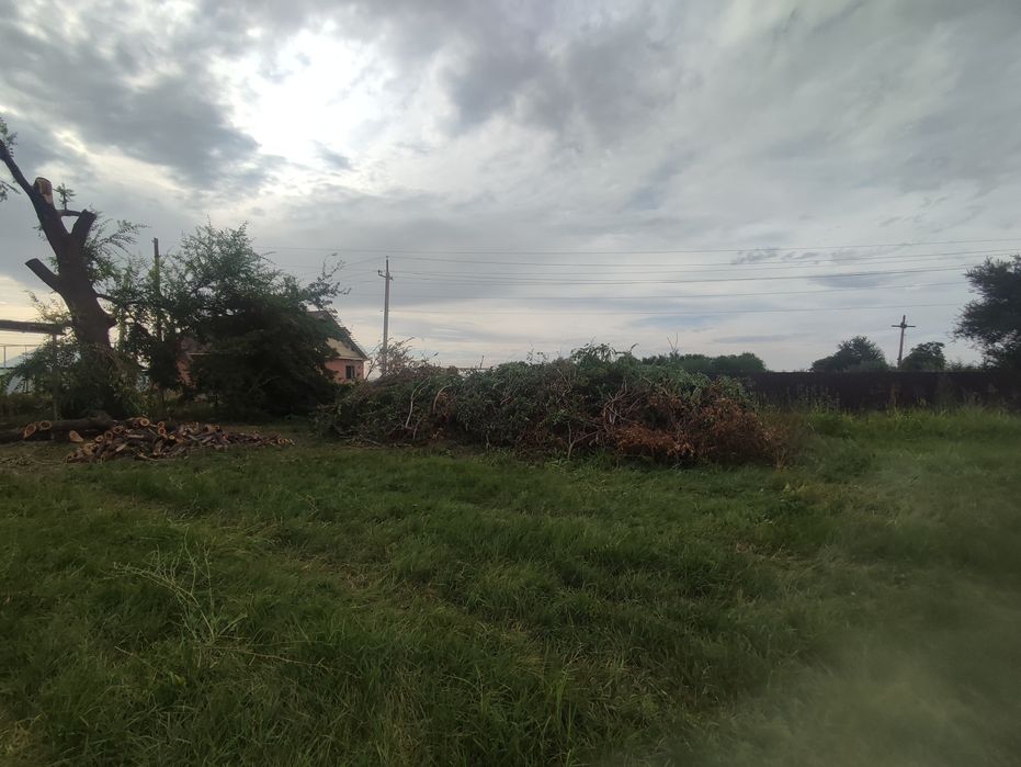 Отдам ветки село Саймасай