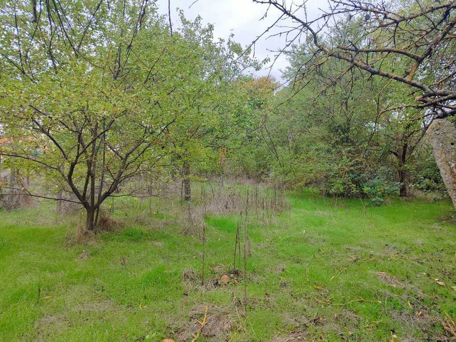 Продава се Къща в с. Полковник Свещарово, Област Добрич - 60 кв.м за 706 €/кв.м - Снимка #8