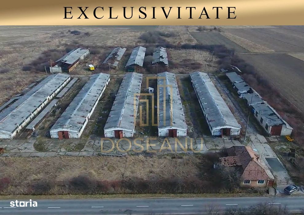 Ferma | De Vanzare | Bihor