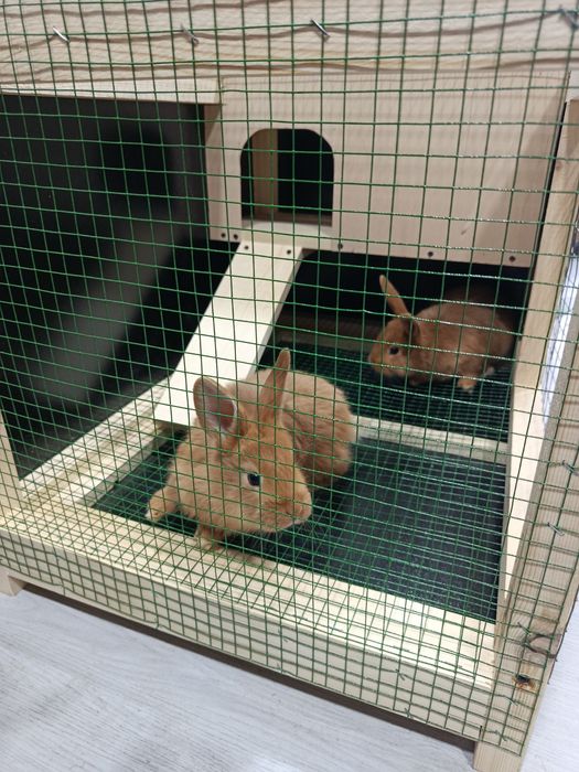 Изготовим клетки для кур и кроликов