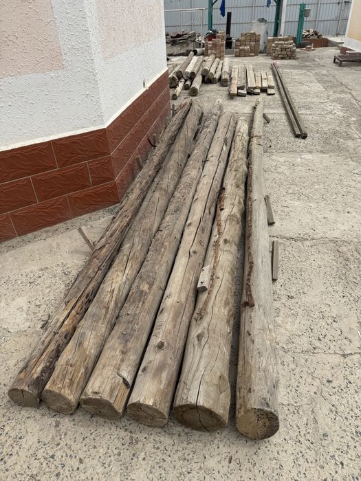 Бөренелер бар бәрін алса түсемін бұданда