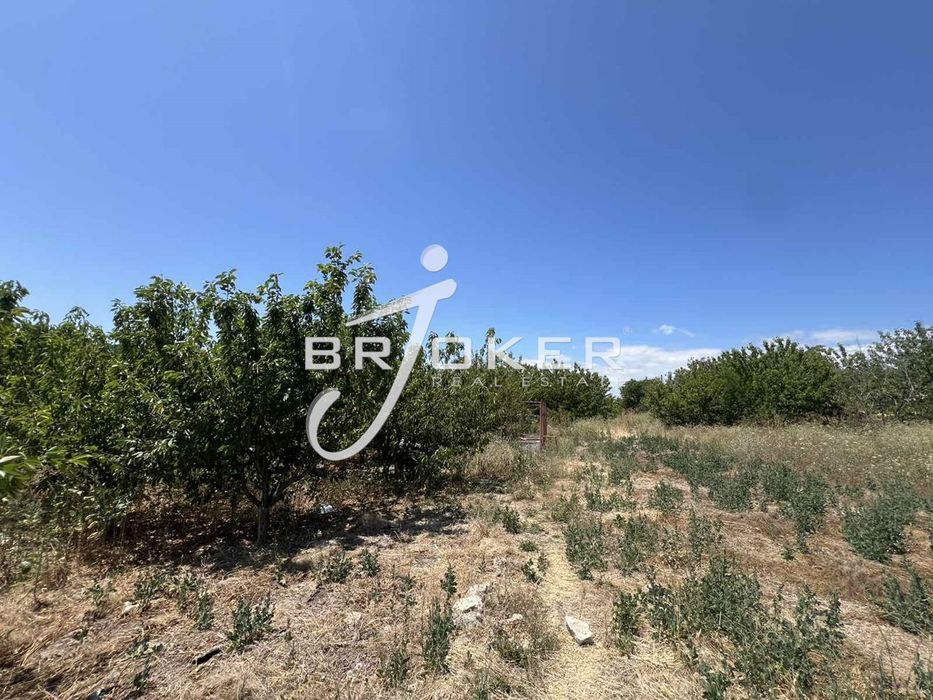 Парцел в Кърджали, област-с.Гъсково