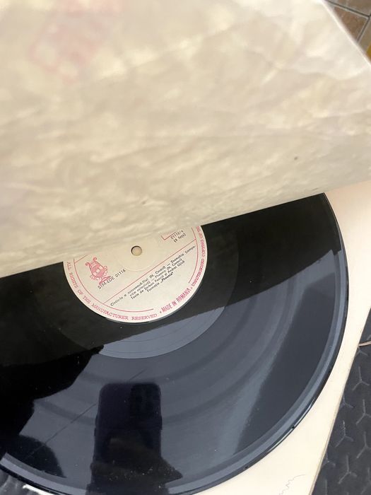Disc Vinyl Phoenix