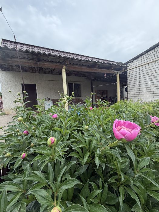 Продается 2 дома . Ипотеку проходит !