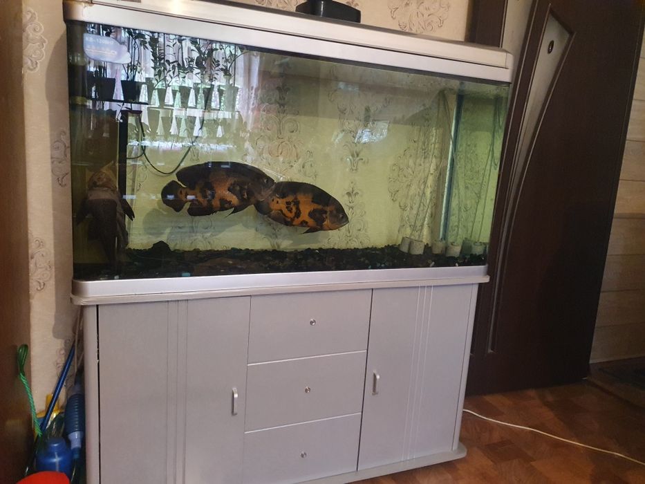 Аквариум заводской