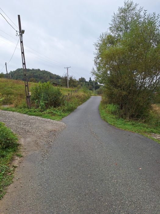 Vand teren intravilan si casa,Bistra, Valea Neagra, Maramures