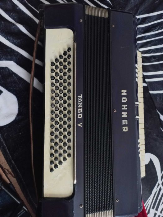 acordeon HOHNER 80 basi