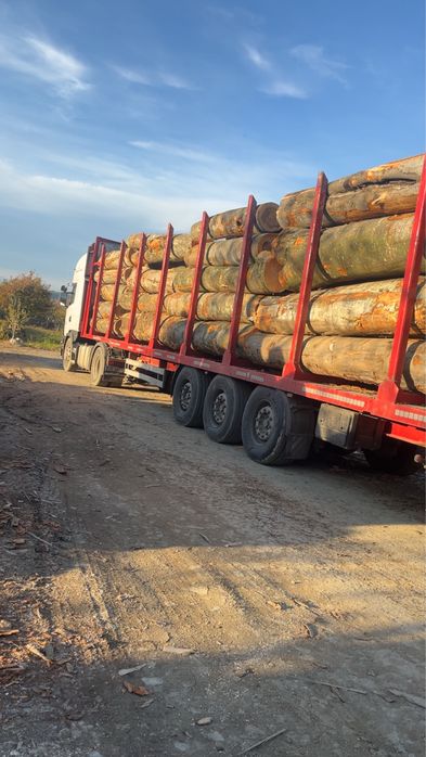 Lemn de foc fag 1234