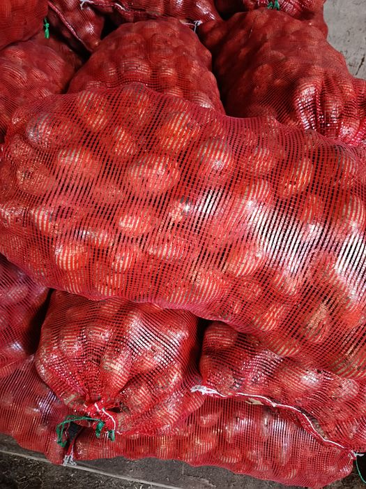 Продам домашний картофель.
