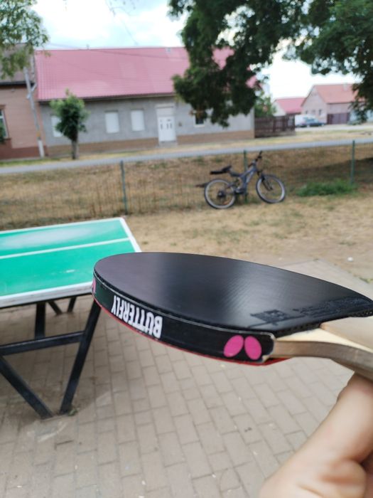 Vând paleta profesionala